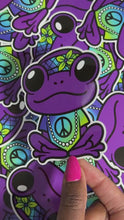 Load and play video in Gallery viewer, Hippie Frog

